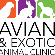 Handle and restrain all kinds of exotic animals. The Avian And Exotic Animal Clinic Of Arizona Home Facebook