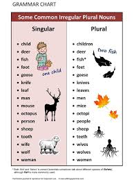 English Grammar Some Common Irregular Plural Nouns Www Allthingsgrammar Com Plural Singular N English Words English Language Teaching Teaching English Grammar