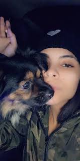 Lost Dogs in Clarksville, Tennessee