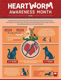 Aug 15, 2018 · how much does heartworm treatment cost? Addressing The Cost Of Heartworm In Dogs Cofund My Pet