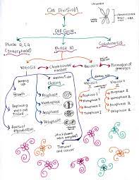 Bab 5 punye file power point tak? Bijak Tekun Nota Kreatif Biologi Tingkatan 4 Bab 5