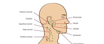 Check spelling or type a new query. Neck Lump Examination Osce Guide Geeky Medics