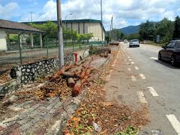 We did not find results for: Once A Sdarian 2020