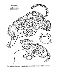 Click here to learn more. Coloring Pages Of Baby Animals Coloring Home