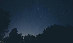 10,000+ vectors, stock photos & psd files. Wallpaper Id 224198 A Dark Blue Sky Full Of Stars Above Silhouettes Of Trees Silhouette Trees Under A Starry Sky 4k Wallpaper