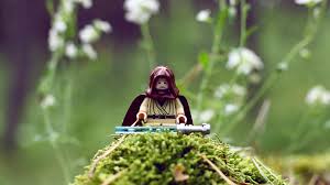 Lego Star Wars Lego Star Wars Wallpapers Hd Desktop Sfondi Lego Star Wars 1920x1080 Wallpaper Teahub Io 71 star wars desktop wallpapers images in full hd, 2k and 4k sizes. sfondi lego star wars