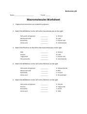 Macromolecules review worksheet for h biology part a. Bc 8a 1 Pdf Biochemistry 8 Name Period Macromolecules Worksheet 1 Explain How Monomers Are Related To Polymers 2 Match The Monomer On The Left To Course Hero