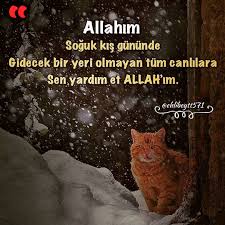 Kalbidualar Sevdigin Bir Kisiyi Etiketle Siir Edebiyat Hayat Insan Guven Sevgi Saygi Asklayasa Ki Dualar Guzel Soz Edebiyat
