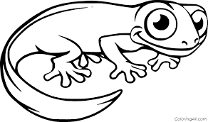 Print the pdf to use the worksheet. Sierra Newt Coloring Page Coloringall