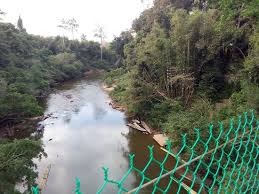 The ministry of water, land, and natural resources has since vowed to probe the alleged water contamination in kuala koh. Gua Musang Tourism Best Of Gua Musang Malaysia Tripadvisor