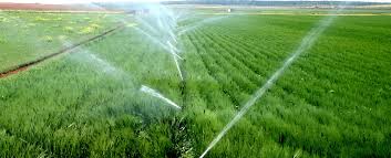 Image result for agriculture