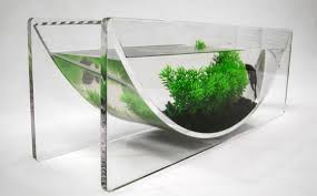 Just find the best betta fish tank and go from there. Small Betta Fish Tanks Vang Bettas
