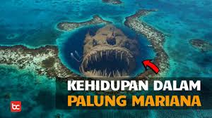 Planet yang terdekat dg setelah bintang terbakar, sebagian besar hidrogennya meluruh/berkurang.bila terjadi dalam jumlah besar, bintang yang meluruh lalu membakar helium. Seperti Apa Kehidupan Di Palung Mariana Bicara Indonesia