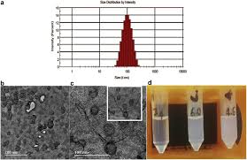 Our logo editor makes use of the latest web technologies, so some features may be unavailable. Ph Responsive Micelles From An Oleic Acid Tail And Propionic Acid Heads Dendritic Amphiphile For The Delivery Of Antibiotics Journal Of Pharmaceutical Sciences