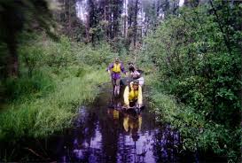 「Powered Free by PHPmotion ~modulate」的圖片搜尋結果