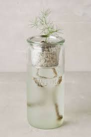 The latter allows you to easily view the root systems. Small Space Gardening A Kit To Grow Windowsill Herbs Gardenista