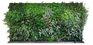 Grune Wande Florawall Green Wall Backyard Garden Design Green Wall Design
