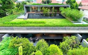 Custom Houses Modern House Designs Green Roof Design Green Roof House Rooftop Terrace Design