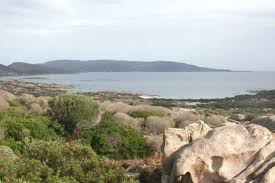 Asinara asinara is the third largest island of sardinia after sant'antioco. Asinara Das Ehemalige Gefangnis Das Zu Einem Naturpark Vor Der Kuste Sardiniens Geworden Ist