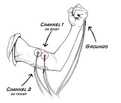 Flexion And Extension Record Your Antagonistic Muscles How to draw faces in profile. record your antagonistic muscles