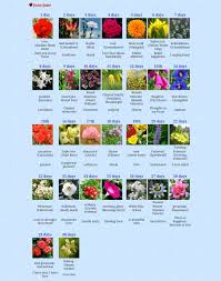 Maybe you would like to learn more about one of these? ë¯¼ë¯¼ On Twitter May August Korean Birth Flower