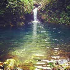 Looks Like A Painting This Is Blue Pond Hana Maui Lovely Water Pictures Maui Favorite Places