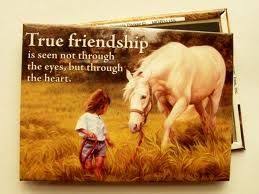 True Friendship Horse Quotes Horse Poems Country Girl Quotes