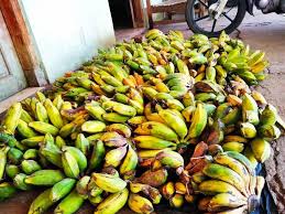 Maybe you would like to learn more about one of these? Pisang Klutuk Kluthuk Matang Dan Tua Home Facebook