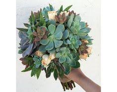 We did not find results for: 50 Cactus Flower Turns 40 Pics From The 1970 S Ideas Cactus Flowers Cactus Flower 40th Anniversary