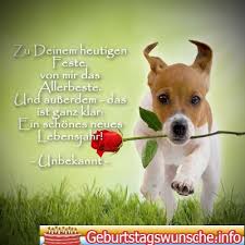 Geburtstagswunsche Fur Hunde Lustige Geburtstagswunsche Lustige Geburtstagsspruche Geburtstag Wunsche