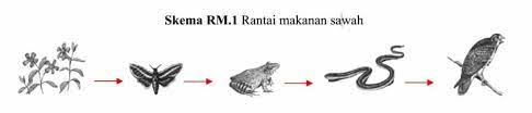 Apr 27, 2021 · january 26, 2021 aku yang tidak kau ini itu dan di anda akan apa dia saya kita untuk mereka ada tahu dengan bisa dari tak kamu kami adalah ke ya orang tapi harus pergi baik dalam sini seperti hanya ingin sekarang semua saja sudah jika oh apakah jadi satu jangan notes 1) this list was created using public/free Rantai Makanan Pengertian Jenis Jaring Contoh Gambar