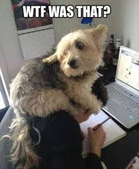 Funny Scared Animals 25 Pics Funny Dogs Baby Dogs Funny Animals