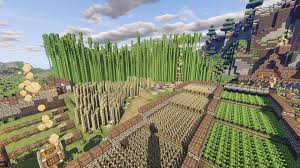 Jungles are rare biomes in minecraft. Traveled 13 000 Blocks To Find A Jungle Biome To Get Bamboo Think It Was Worth It Minecraft