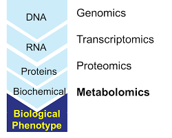 Methods of cultivating animal cells bioreactor considerations for animal cell cultures usage of animal cell cultures potential products from animal cell animal cell culture was successfully established in 1907 • first, the development of antibiotics to avoid contamination that plagued earlier cell culture. Metabolomics Wikipedia