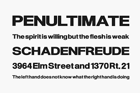 Perhaps you need to convince a client of a concept at pitch level; Helvetica Neue Free Alternatives Fonts Shmonts