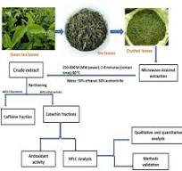 Full article: Emerging techniques for catechin extraction ...