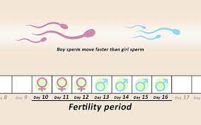 Pin On Conception