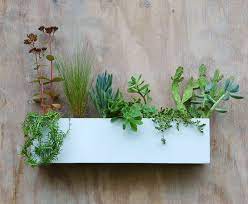 Modern White Succulent Wall Trough Planter Free Shipping Succulent Wall Wall Planter White Succulents
