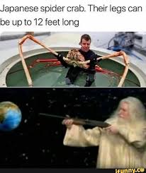 Japanese Spider Crab Their Legs Can Be Up To 12 Feet Long Ifunny Really Funny Memes Funny Relatable Memes Crazy Funny Memes