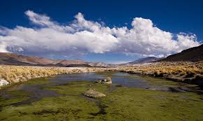 My collection demonstrates the conversion from north to middle argentina and the diversity of earth, water and air. Mountain Argentina Nature Andes Landscape Cordillera Scenics Nature Sky Cloud Sky Beauty In Nature Pxfuel