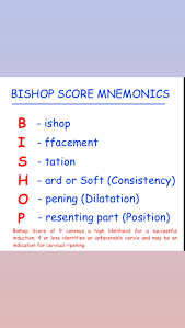 Image result for Bishop Score