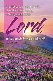 I have put my spirit upon him; I Will Lift Up Mine Eyes Psalm 121 1 2 Kjv Bulletins 100 Christianbook Com