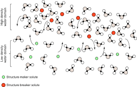 To create this process, we and others in the industry needed to thoroughly research speculative execution side channels and establish a taxonomy and framework for reasoning about their effects and possible mitigations. Structure Maker Solutes Allow Formation Of Microdomains Of Low Density Download Scientific Diagram