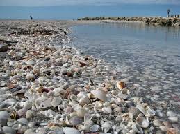 Sanibel Island Fl Beach Bars Cold Front Piles Of