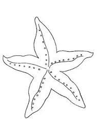 Top 10 Starfish Coloring Pages For Your Little Ones Coloring Pages Stencils Starfish Printable