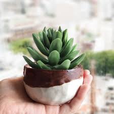 Handmade Flowerpot El Yapimi Kucuk Saksi Ceramics Pottery Potterylove Plants Plantasdeinterior Seramik Saksi Cicek Ic Tasarim Ofisler Saksi Seramik