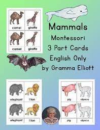 The startup lexicon is overflowing with animals. Pin On Montessori Homeschooling