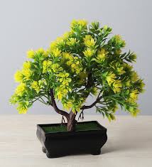Leaves bonsai autumn leaf high definition picture nature fall tree background yellow season green leaves orange green plants color red abstract maple close up bright pattern drops dew plant autumn. Buy 3 Branched Bonsai Tree With Green Leaves And Yellow Flowers With Pot By Foliyaj Online Artificial Flowers Artificial Flowers Home Decor Pepperfry Product