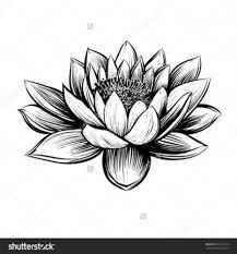Black And White Water Lily Flower Tattoo 51 Ideas Tattoo Lotus Flower Black Water Lilies For 2019 Water Lily Tattoos Lily Flower Tattoos Lotus Flower Drawing