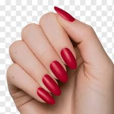 يد أنيقة بأظافر لوزية حمراء غير لامعة لرسومات تجميل وفن الأظافر, أظافر,  أحمر, يُسلِّم PNG صورة للتحميل مجانا